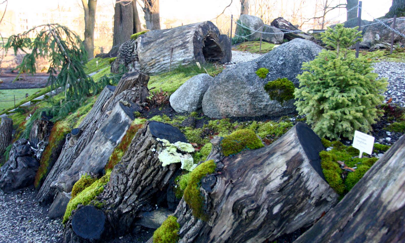 Illustration for article titled MOSS